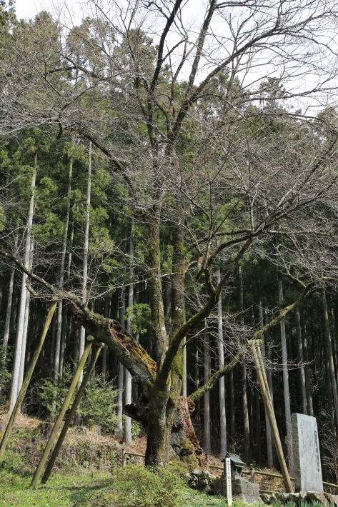 c0358784_19260093.jpg