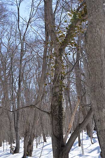 f0212586_17172452.jpg