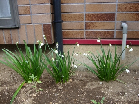 c0322794_09582947.jpg