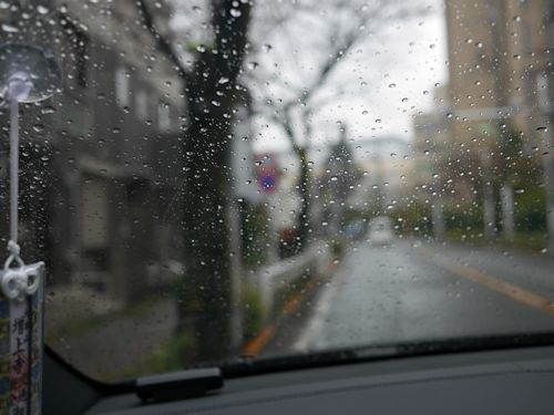 c0090198_17434412.jpg
