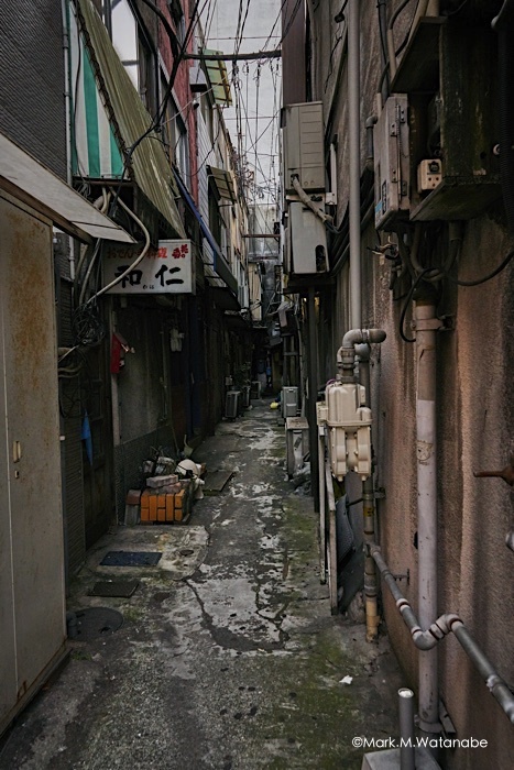 ボロボロになっても_e0135098_08352928.jpg