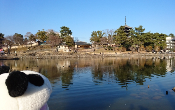 その17 今回の奈良_f0033598_13564984.jpg
