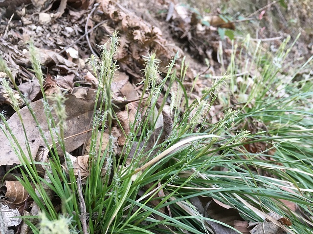 c0124100_17164116.jpg