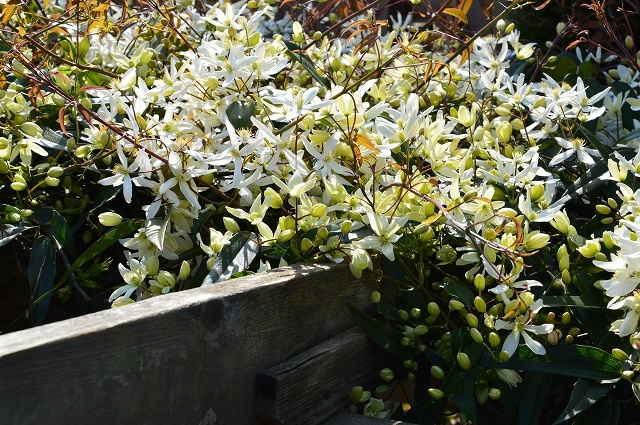 c0124100_18515626.jpg