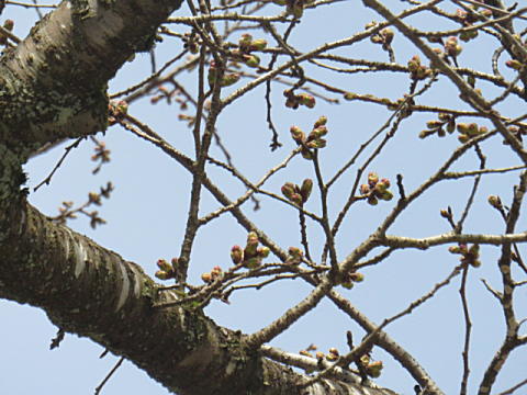 d0046702_15253427.jpg