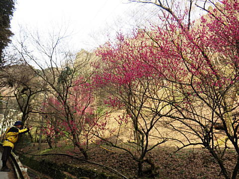 d0046702_15343613.jpg