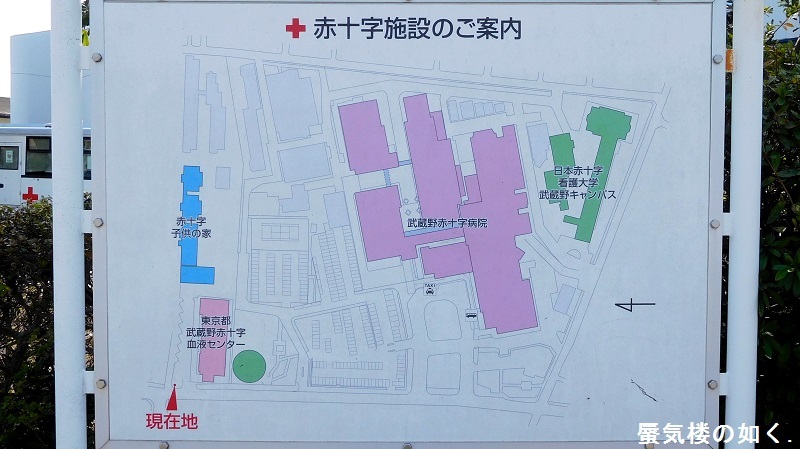 e0304702_20352637.jpg