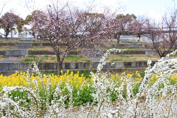 a0123003_23091683.jpg
