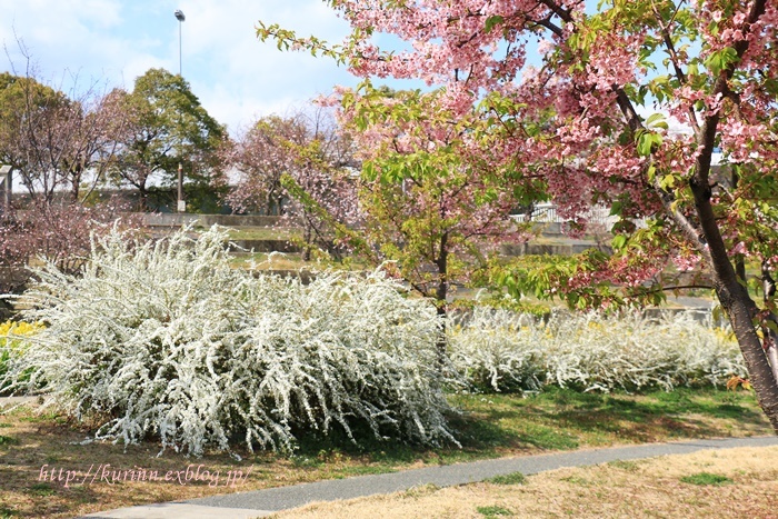 a0123003_23154499.jpg