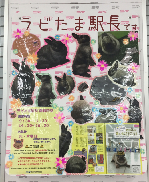 ラビたま_f0144003_09594416.jpg