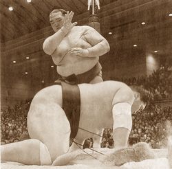 稀勢の里　奇跡の逆転優勝_b0044404_937284.jpg