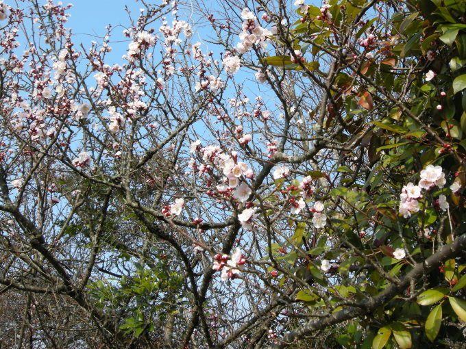 c0156104_21311156.jpg
