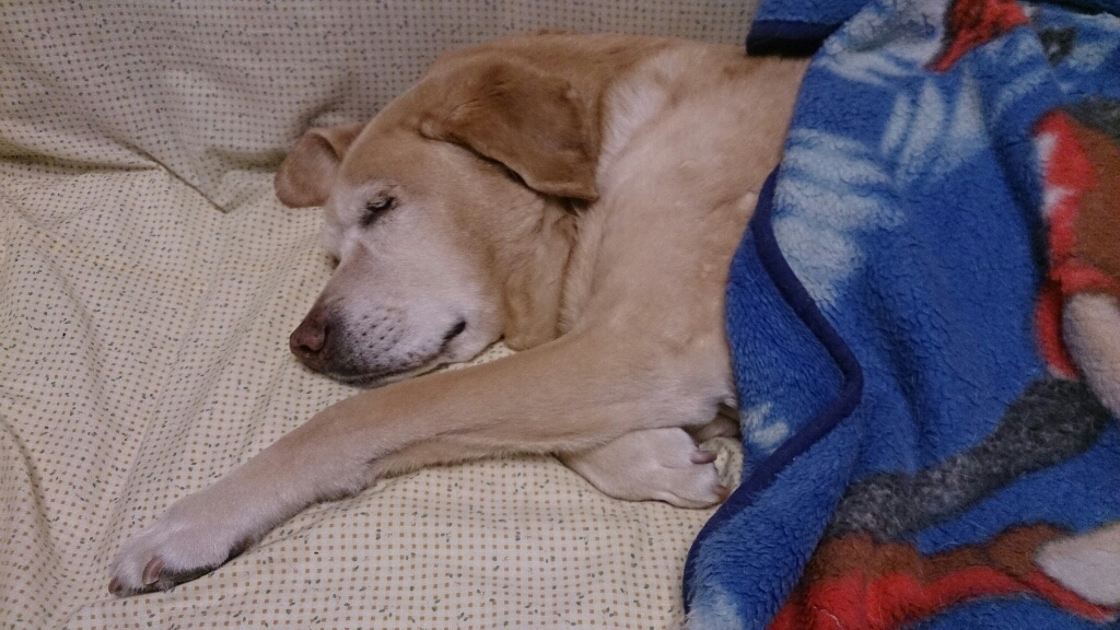 e0046305_20120405.jpg