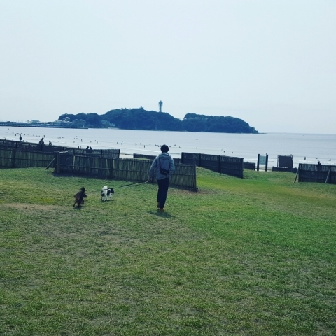 a0134306_23401099.jpg