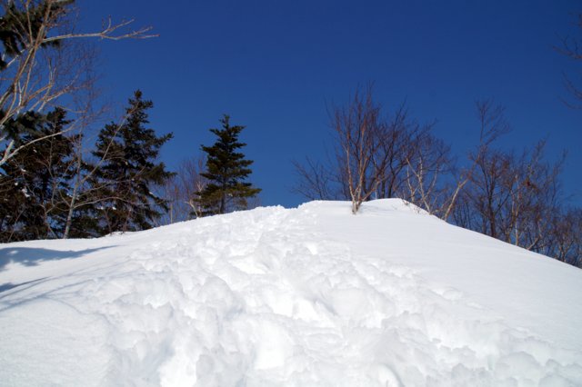 a0345007_1738079.jpg