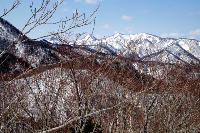a0345007_17392422.jpg