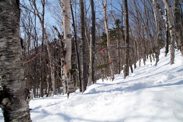 a0345007_17434111.jpg