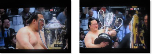 【新横綱で優勝22年ぶり】. 稀勢の里が優勝決定戦で逆転優勝…2017/3/26_f0231709_2244830.png