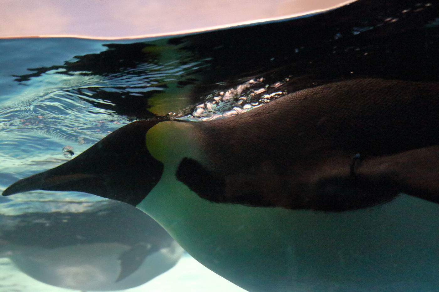 f0349409_20414711.jpg