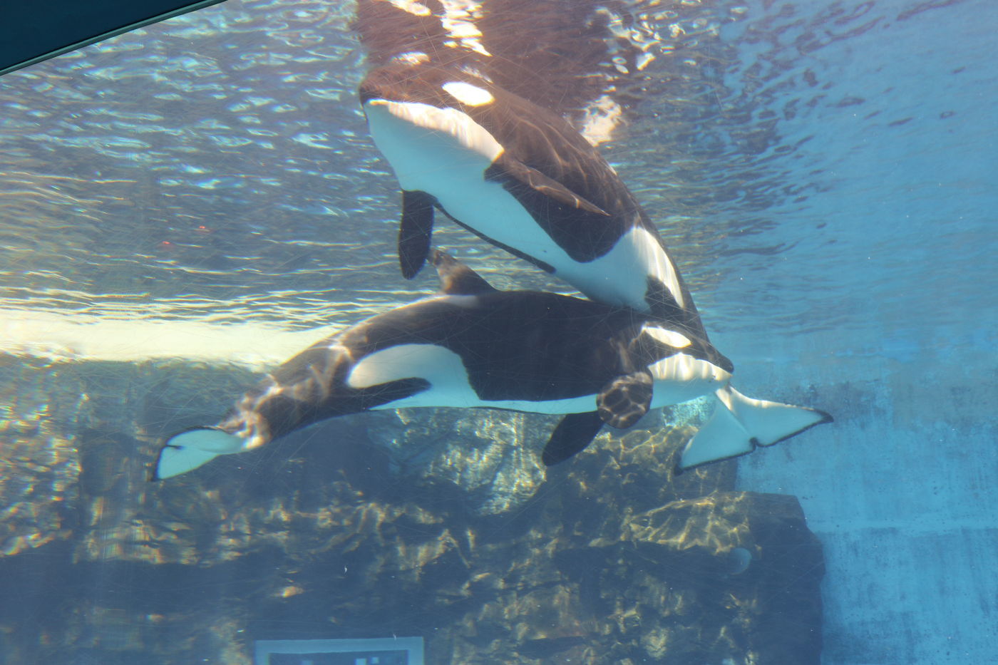 f0349409_20522013.jpg