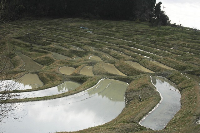 e0121110_21153710.jpg