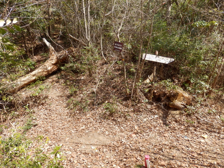f0219710_07425839.jpg