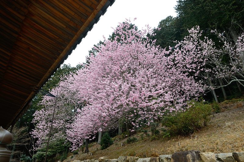 f0032011_20085464.jpg