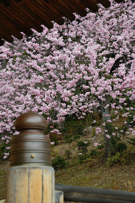 f0032011_20085517.jpg