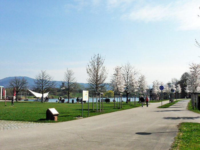 a0245112_17253695.jpg
