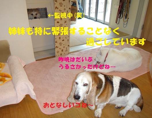f0121712_15501082.jpg