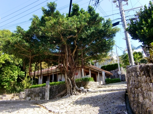 首里金城町石畳道（沖縄県那覇市）_c0219820_22190346.jpg