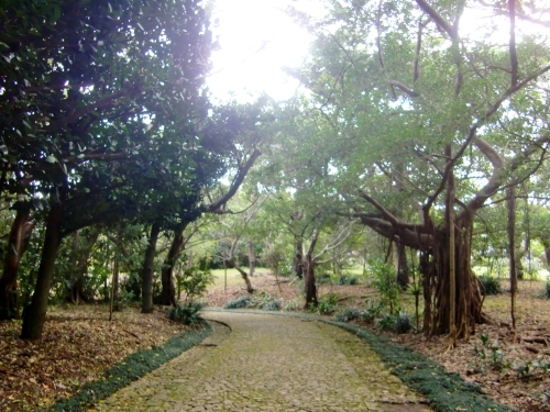 識名園（沖縄県那覇市）_c0219820_22370500.jpg