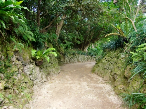 c0219820_22374423.jpg