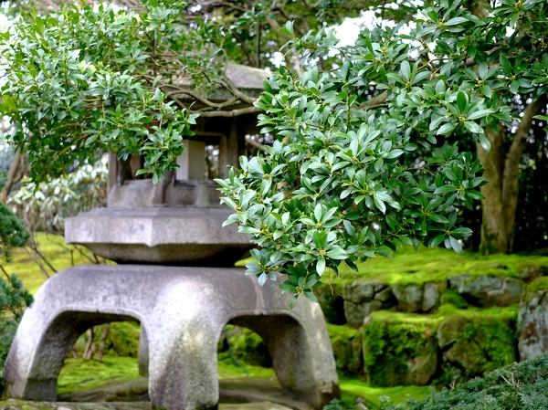 「富山・アートなとやま旅 樂翠亭美術館」_a0000029_10535443.jpg