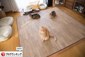 気をぬくな_d0355333_10551915.jpg
