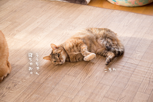 気をぬくな_d0355333_10551946.jpg