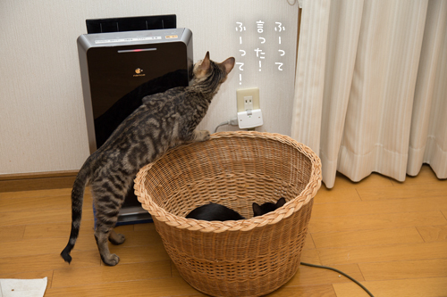 ナノイーさんのふー_d0355333_10552047.jpg