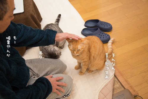 やきもちやき_d0355333_20020948.jpg