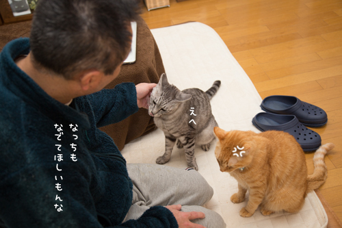 やきもちやき_d0355333_20021356.jpg