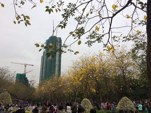 f0371533_14152675.jpg