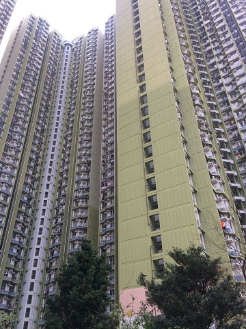 f0371533_14175293.jpg