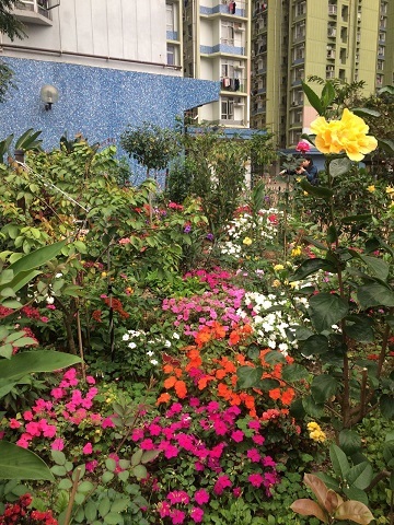 f0371533_14181008.jpg