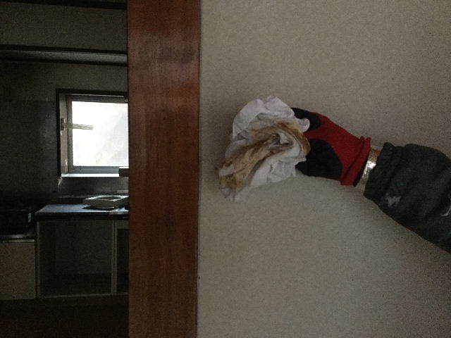 仕入れと搬入_f0031037_21542578.jpg