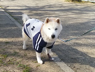 今日も池と風車の公園_b0080342_23235800.jpg