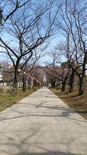 今日も池と風車の公園_b0080342_23323498.jpg