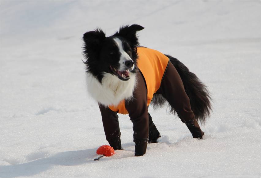 ばったりのお友達と一緒に雪あそび～ ♪_b0245048_23352151.jpg