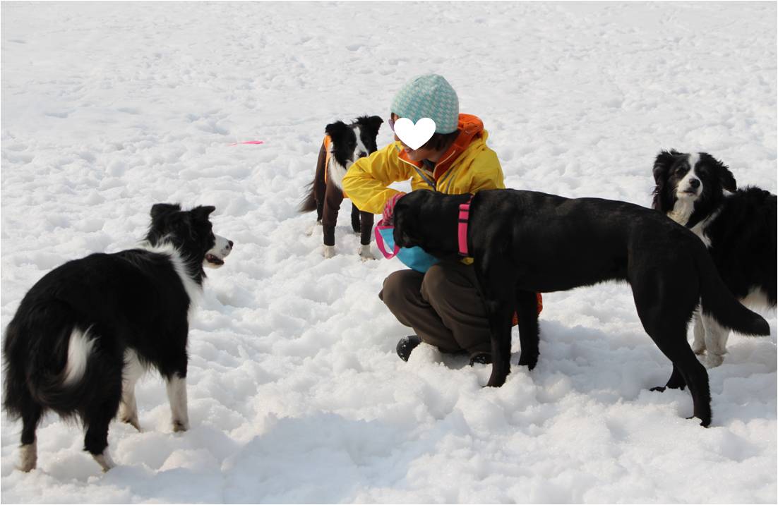 ばったりのお友達と一緒に雪あそび～ ♪_b0245048_23353179.jpg