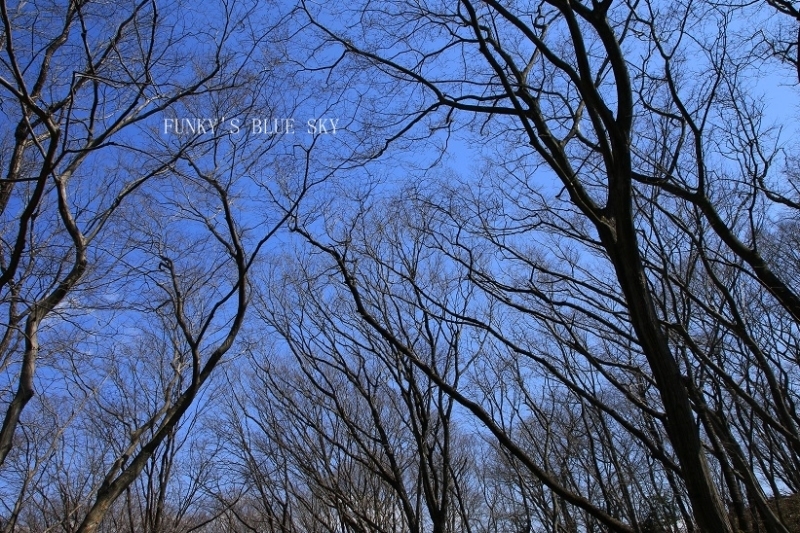 c0145250_10021829.jpg