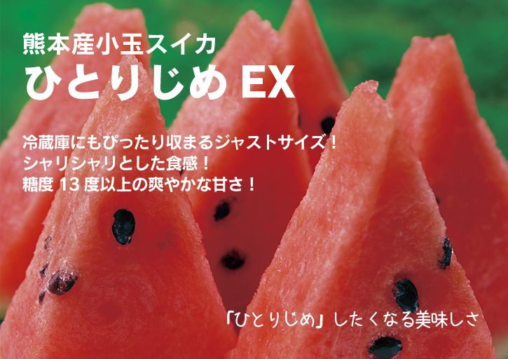 夢スイカ　小玉スイカ「ひとりじめＥＸ」本日より先行予約の受付スタート！初回出荷は4月7日(金)の予定です！_a0254656_17162262.jpg