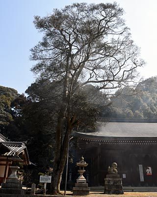 滋賀県　雪野山散策_e0035757_23242210.jpg